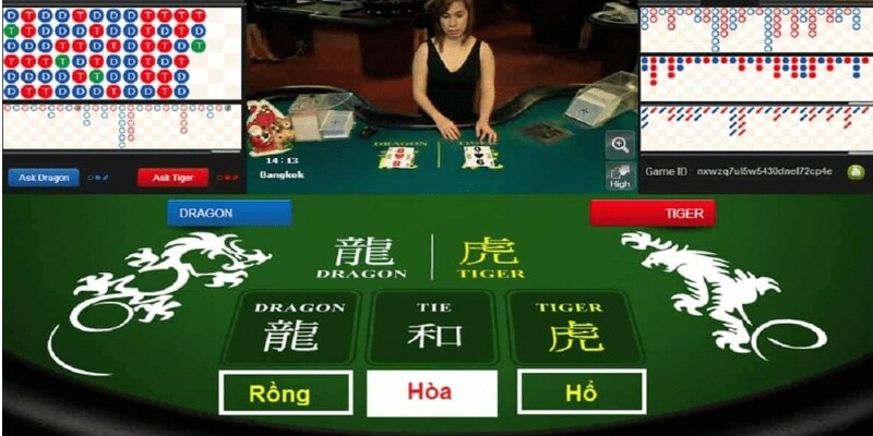 Không nên đặt cược cửa hòa khi chơi rồng hổ